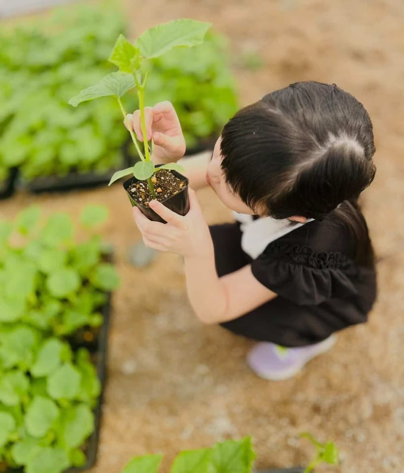 ENDO FARMで実施している子供向け0円農業体験の様子